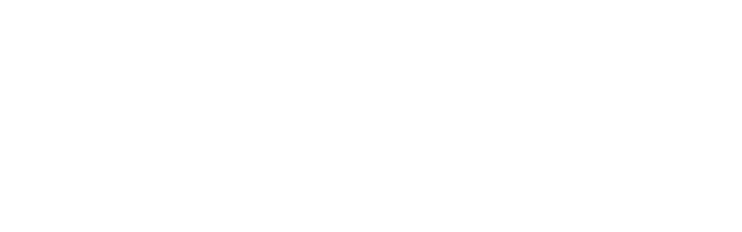 Outlook for 2021