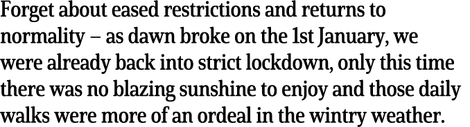 Forget about eased restrictions and returns to normality   as dawn broke on the 1st January, we were already back int   
