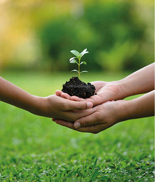 Environment Earth Day In the hands of trees growing seedlings  Bokeh green Background  A mother and kid's hand holding tree on nature field grass Forest conservation concept  Teaching kids to plant  