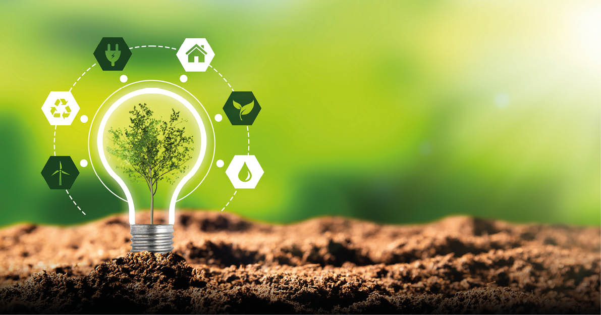 Environmental protection, renewable, sustainable energy sources. Plant growing in the bulb concept