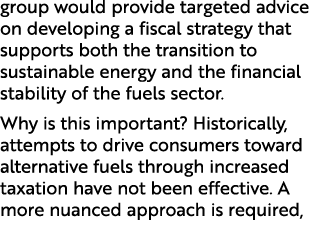 group would provide targeted advice on developing a fiscal strategy that supports both the transition to sustainable ...
