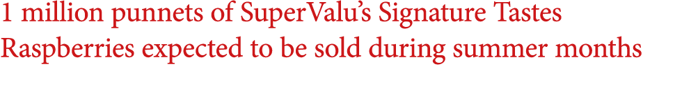 1 million punnets of SuperValu’s Signature Tastes Raspberries expected to be sold during summer months