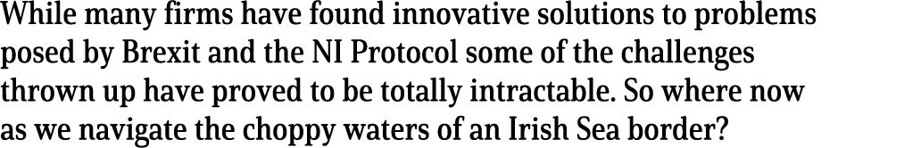 While many firms have found innovative solutions to problems posed by Brexit and the NI Protocol some of the challeng   