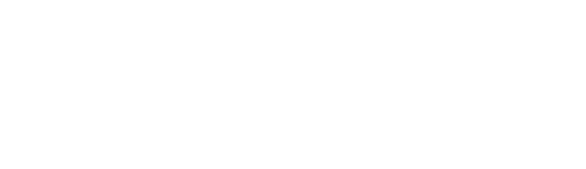 Facts and Frictions
