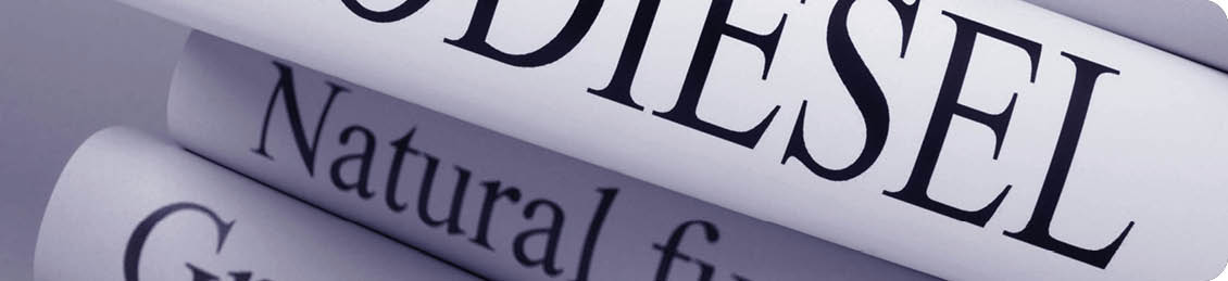 Biodiesel (book reviews)