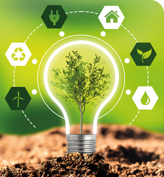 Environmental protection, renewable, sustainable energy sources. Plant growing in the bulb concept