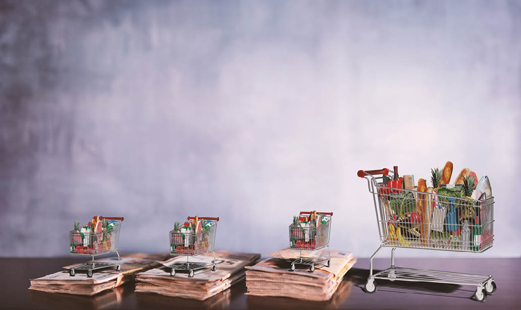Shopping trolleys on a mountain of euro banknotes  concept of the rise in the cost of living  3d rendering