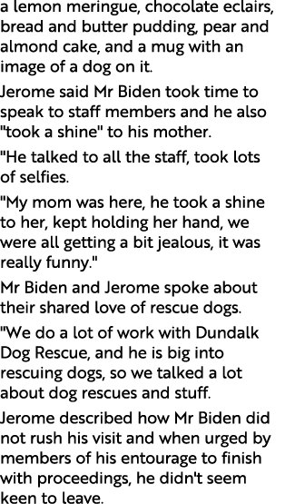 a lemon meringue, chocolate eclairs, bread and butter pudding, pear and almond cake, and a mug with an image of a dog...