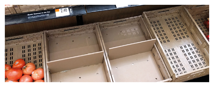 St  Petersburg, Fl - 8 29 2019: Empty supermarket produce and vegetable bins during food shortage  