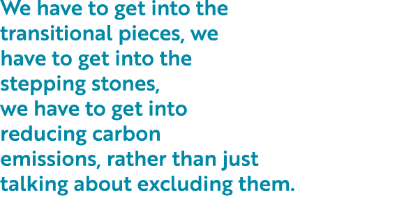 We have to get into the transitional pieces, we have to get into the stepping stones, we have to get into reducing ca   