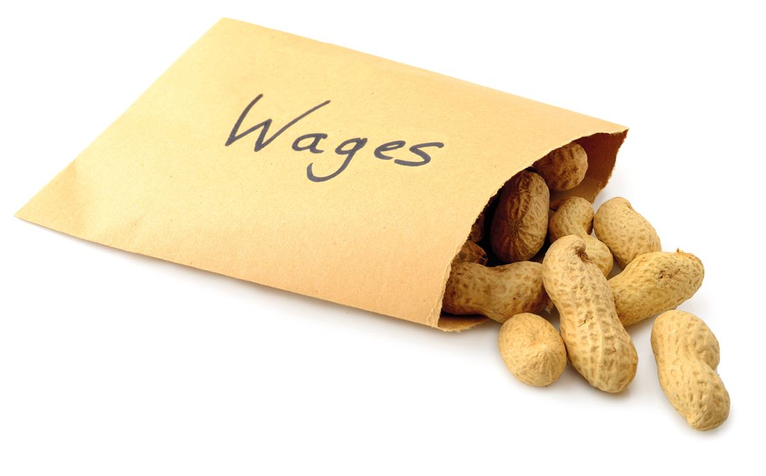 Peanuts falling out of an envelope marked wage isolated on a white background
