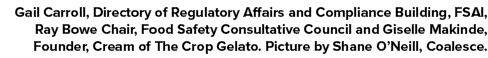 Gail Carroll, Directory of Regulatory Affairs and Compliance Building, FSAI, Ray Bowe Chair, Food Safety Consultative...