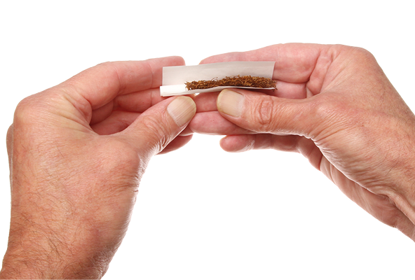 Closeup of a pair of hands rolling a cigarette isolated against white