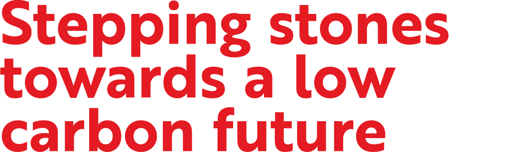 Stepping stones towards a low carbon future