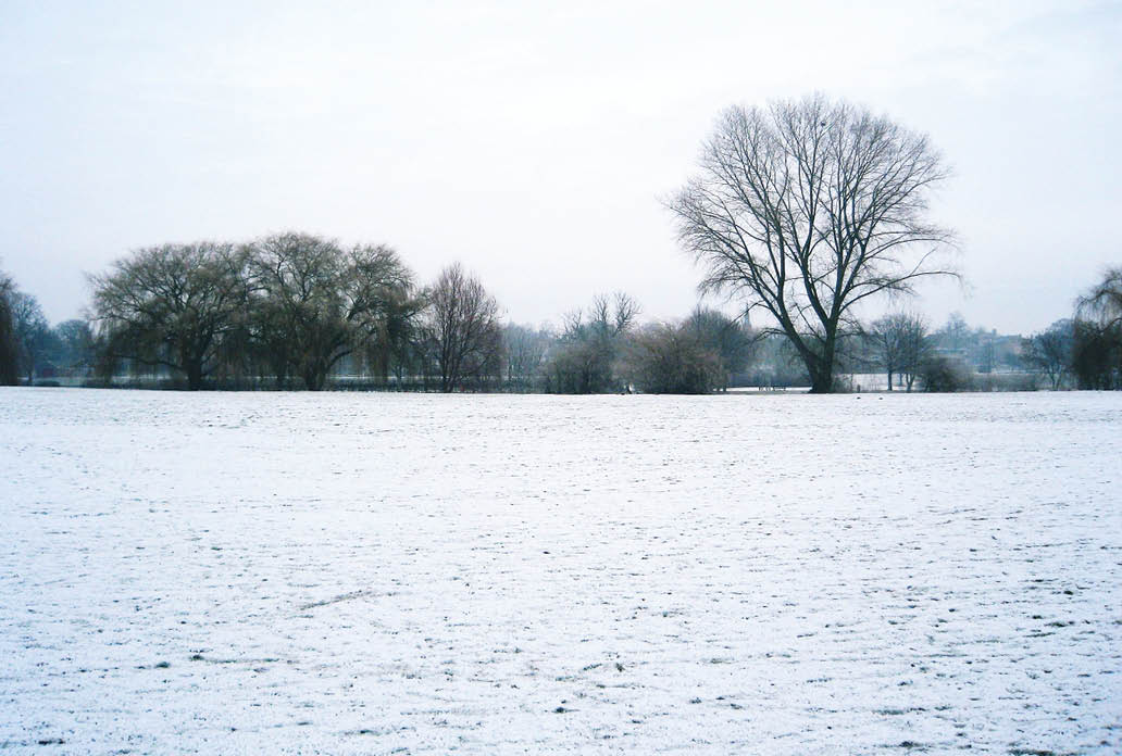Snowy field in York, England.