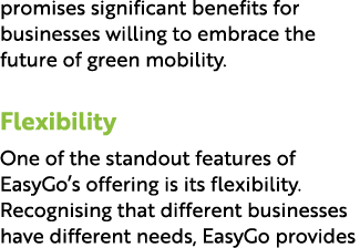 promises significant benefits for businesses willing to embrace the future of green mobility. Flexibility One of the ...