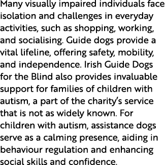 Many visually impaired individuals face isolation and challenges in everyday activities, such as shopping, working, a...