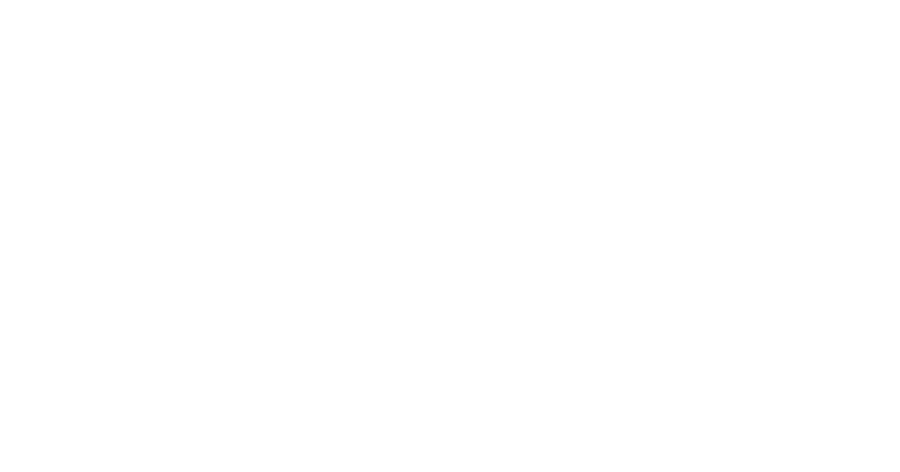 Constant Investment Growth through Acquisitions