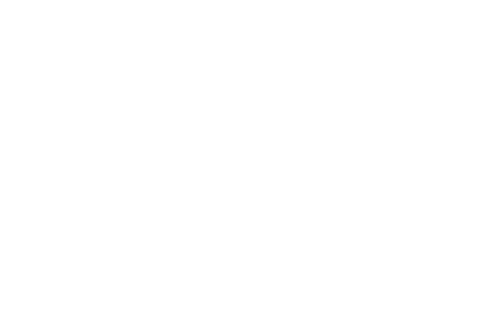 RGDATA Budget Submission