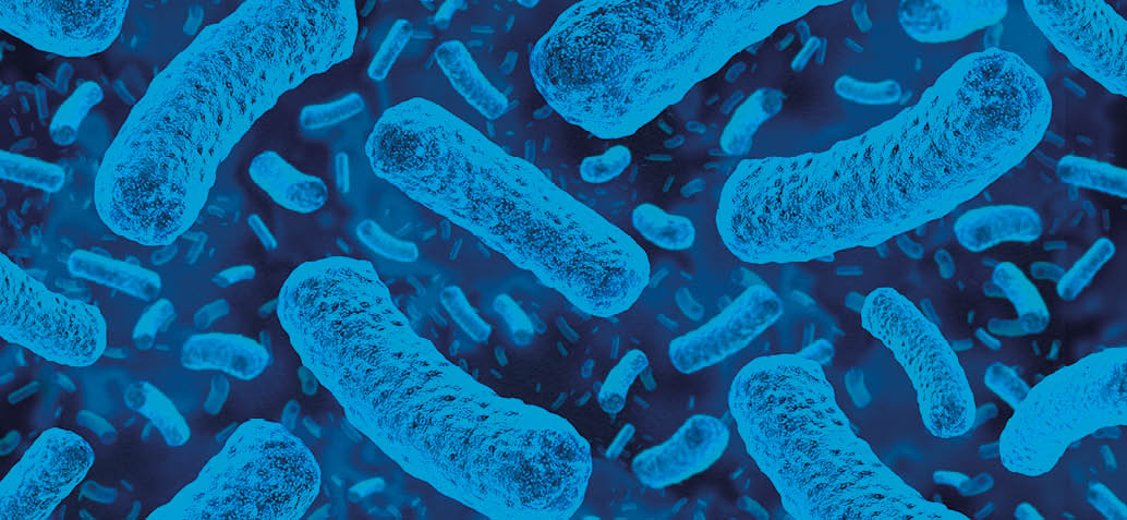 Listeria outbreak and Infection as a foodborne bacterial illness medical concept as a group of dangerous bacteria causing sickness as a health care symbol as a 3D illustration.