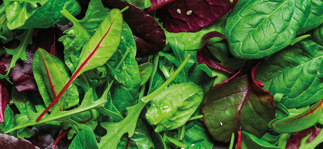 Healthy salad, leaves mix salad (mix micro greens, juicy snack). food background - Image