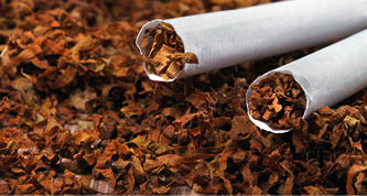 Cigarettes. Cigarettes and tobacco leaves close-up. Bad habits