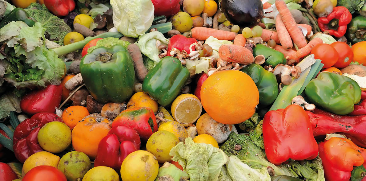 Rotten fruit and vegetable waste in a dumpster