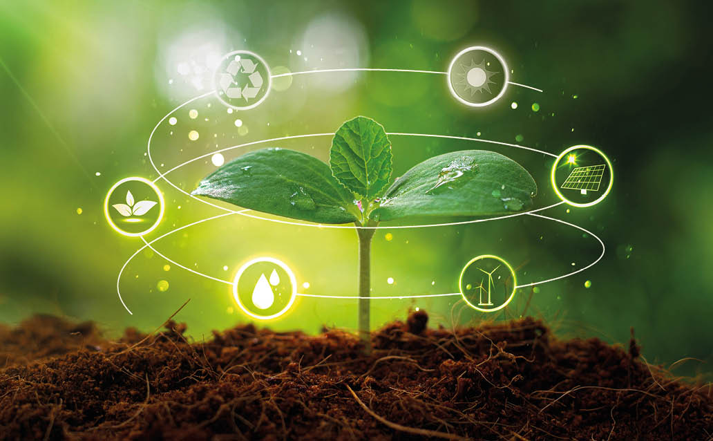 Environmental protection, renewable, sustainable energy sources. Plant growing with icons concept.sustainable development. ecology and world sustainable environment concept.