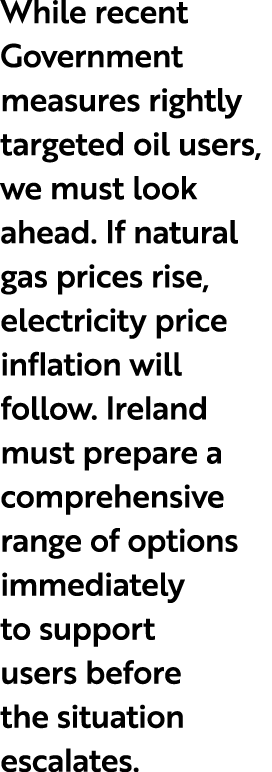 While recent Government measures rightly targeted oil users, we must look ahead. If natural gas prices rise, electric...