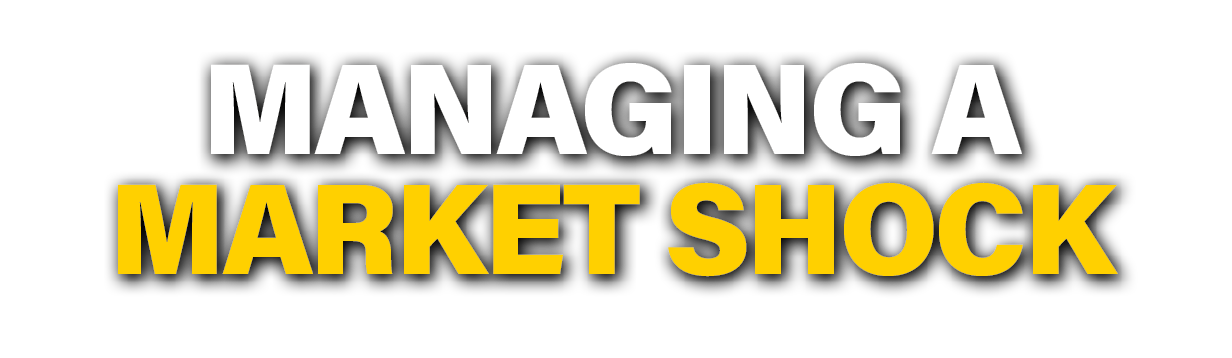 Managing a Market Shock