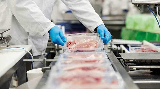 Close up of a meat industry worker gathering packed meat on a conveyor belt.