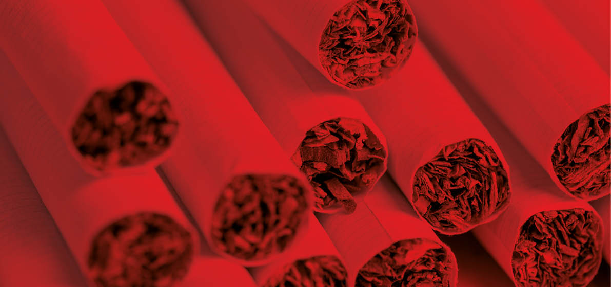 finely crushed tobacco leaf that is used in the manufacture of cigarettes, dangerous to health tobacco leaves for smoking in a cigarette