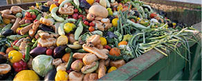 Expired Organic bio waste. Mix Vegetables and fruits in a huge container, in a rubbish bin. Heap of Compost from vegetables or food for animals.