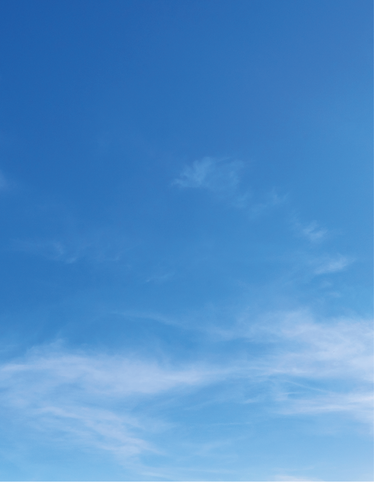 sky is blue and clear with no clouds