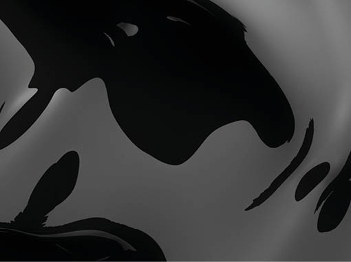 Abstract black background. Smooth black wave plastic. Dark luxury texture. Oil, petroleum, rock-oil. Silk, satin. Black tar, gum. 3D rendering