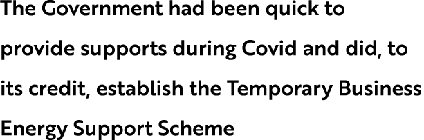 The Government had been quick to provide supports during Covid and did, to its credit, establish the Temporary Busine...