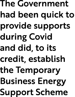 The Government had been quick to provide supports during Covid and did, to its credit, establish the Temporary Busine...