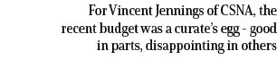 For Vincent Jennings of CSNA, the recent budget was a curate’s egg good in parts, disappointing in others