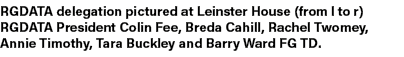 RGDATA delegation pictured at Leinster House (from l to r) RGDATA President Colin Fee, Breda Cahill, Rachel Twomey, A...