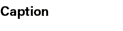 Caption
