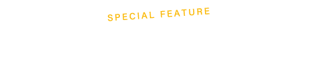 special feature