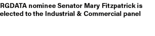 RGDATA nominee Senator Mary Fitzpatrick is elected to the Industrial & Commercial panel
