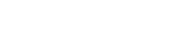 Fuel Report Experian Catalist