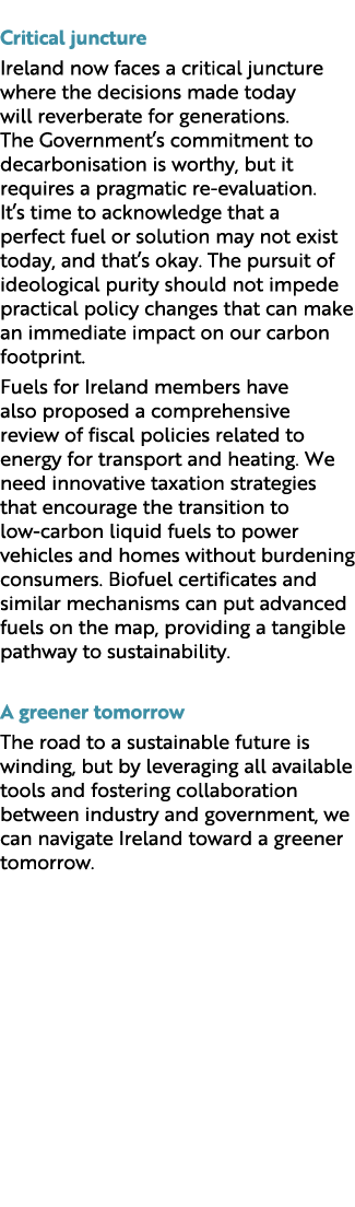  Critical juncture Ireland now faces a critical juncture where the decisions made today will reverberate for generati...