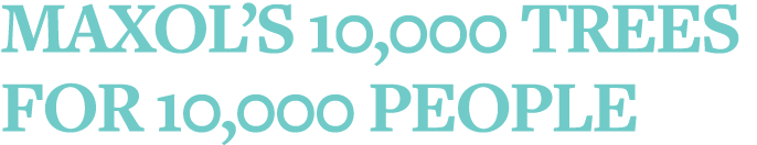 Maxol s 10,000 Trees for 10,000 People