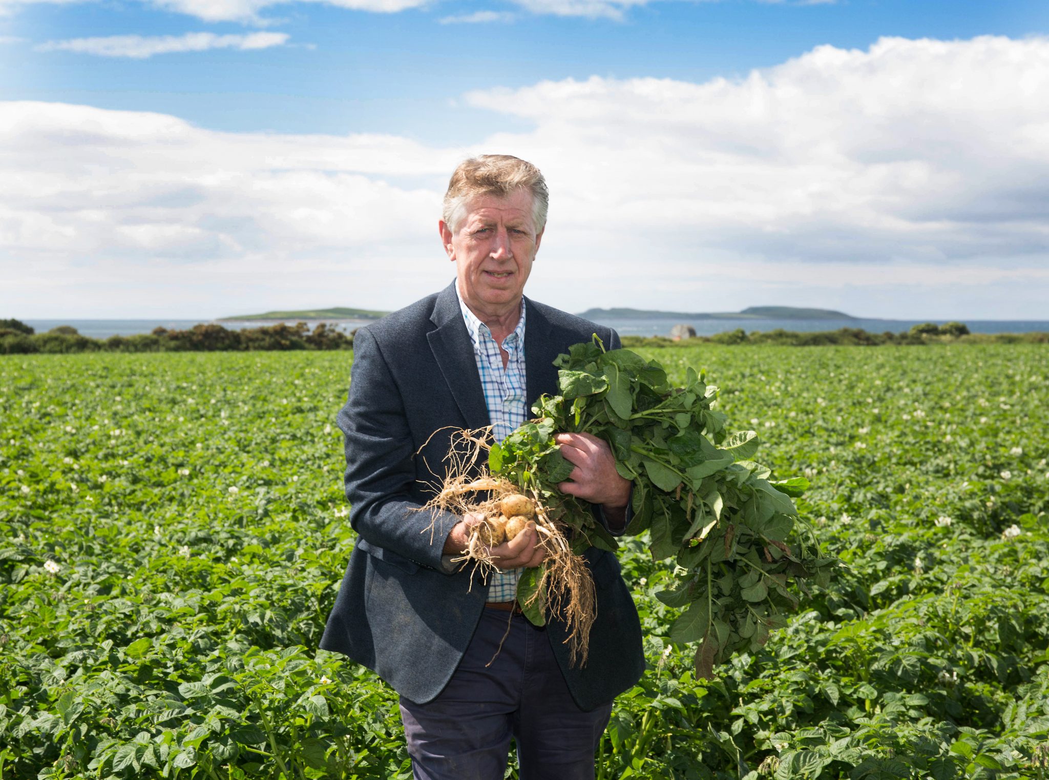 SuperValu predicts super sales of potatoes in 2020