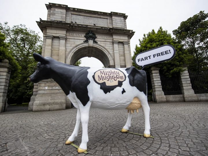 The Mighty Mushroom Co takes to the streets with ‘fart free’ cow