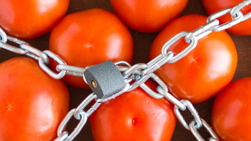 Are there really risks to the EU food chain?