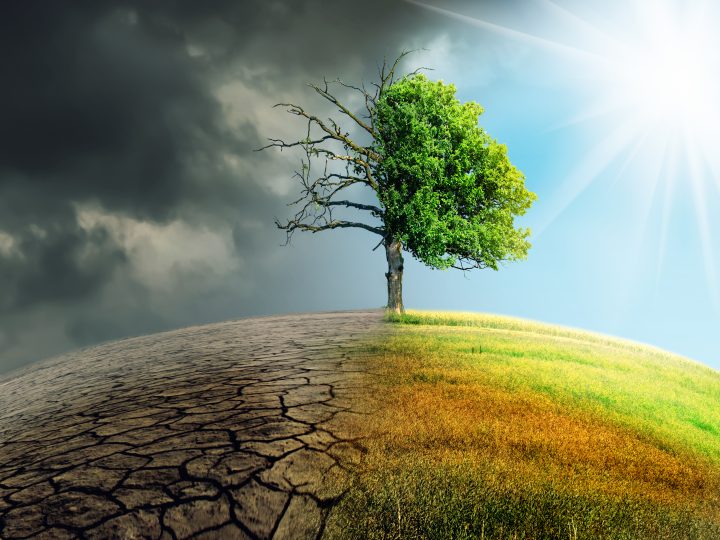 Climate Change, Cost of Living and Spending Top The Bill for Consumers: EY