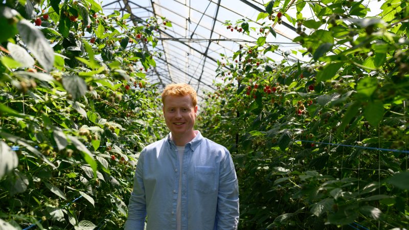 M&S new Irish ‘Farm to Foodhall’ Campaign – with Chef Mark Moriarty